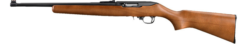 Ruger 10/22  - 10/22CRR
