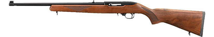 Ruger 10/22  - 10/22-DSP