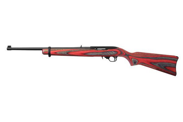 Ruger 10/22  - 1209