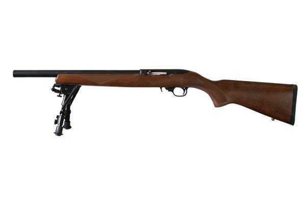 Ruger 10/22  - 1238
