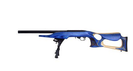 Ruger 10/22  - 1244