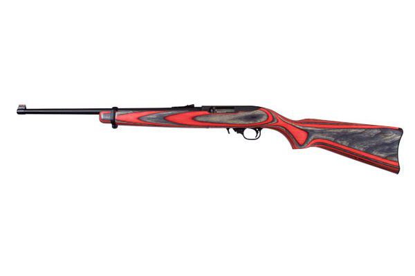 Ruger 10/22  - 1253